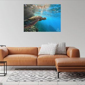 Limited Edition Original Oceanic Art Prints